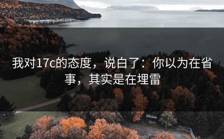 我对17c的态度，说白了：你以为在省事，其实是在埋雷  第1张