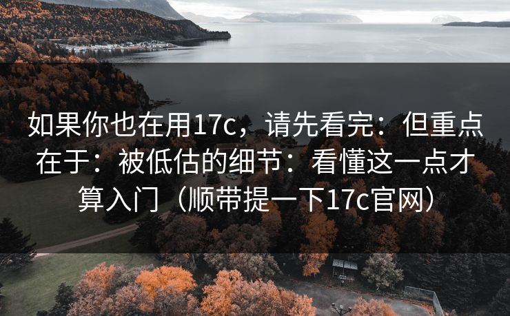 如果你也在用17c,请先看完:但重点在于:被低估的细节:看懂这一点才算入门(顺带提一下17c官网)
