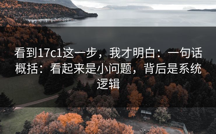 看到17c1这一步,我才明白:一句话概括:看起来是小问题,背后是系统逻辑